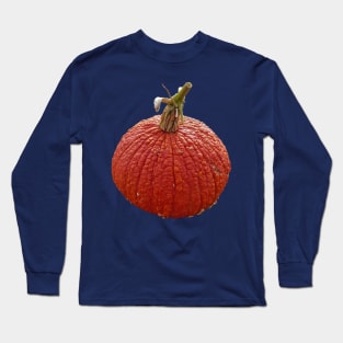 Orange Bumpy Pumpkin for Halloween Decoration Long Sleeve T-Shirt